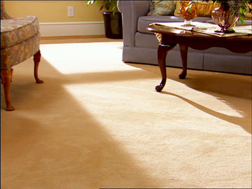 carpet-cleaning-pictures-01.jpg